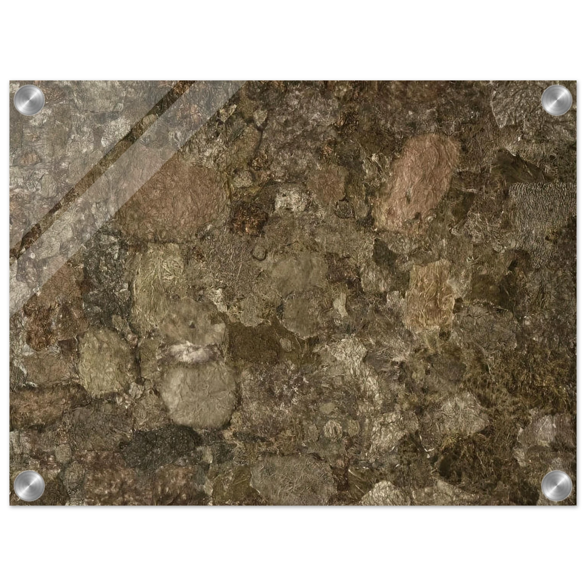 025ae16f-e3b4-45b5-9b0b-5bcb1b603a04