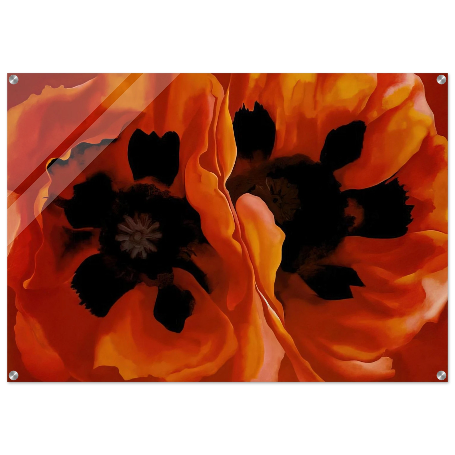 031fe49f-5cf8-4601-bea5-1e3be4fa59ab