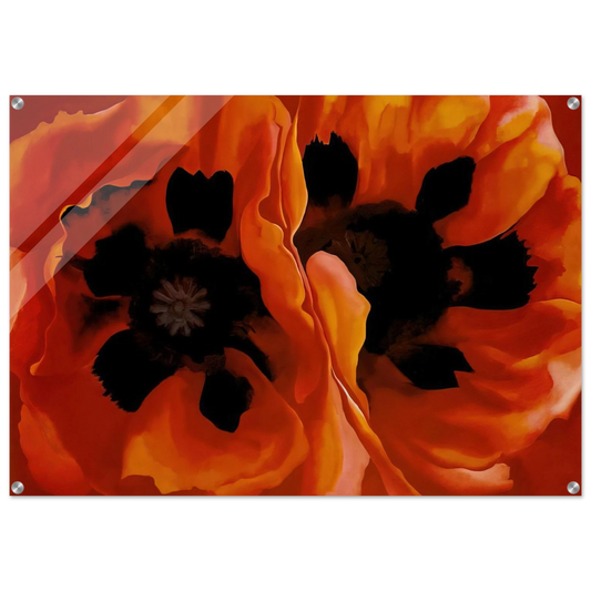 031fe49f-5cf8-4601-bea5-1e3be4fa59ab