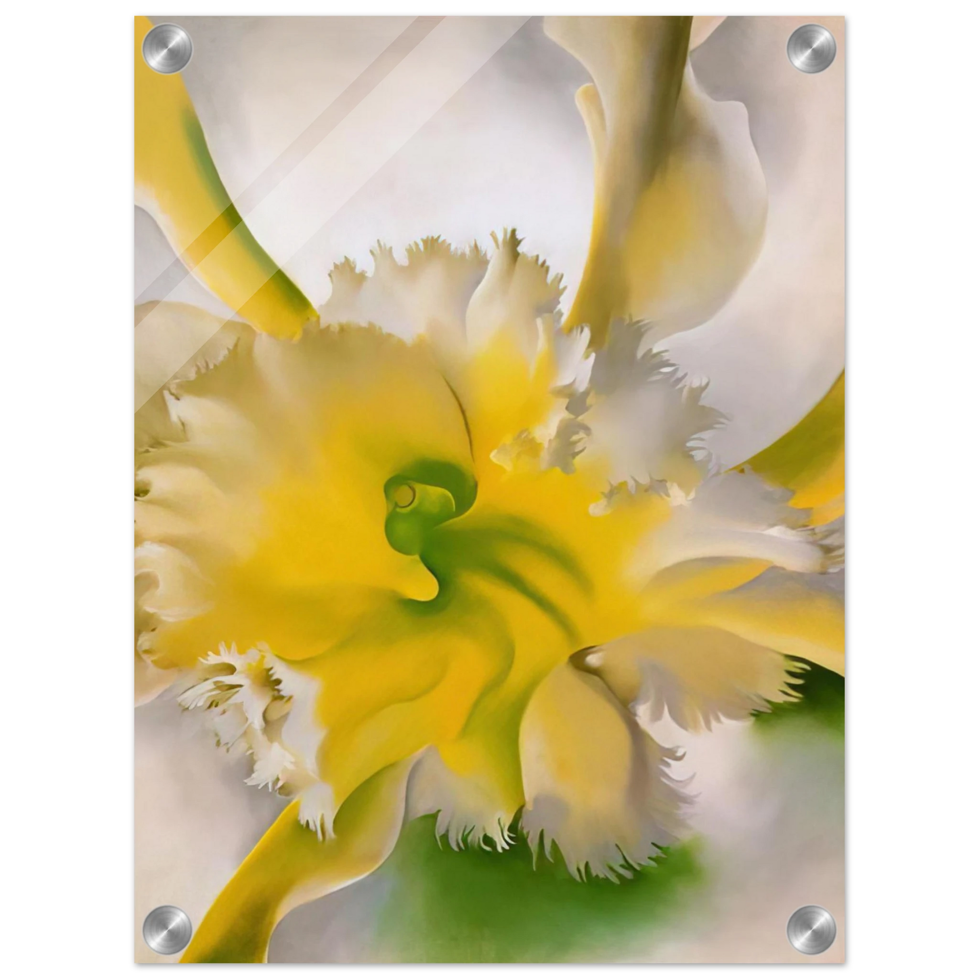03694367-7d29-4c03-915c-f490084e4da3