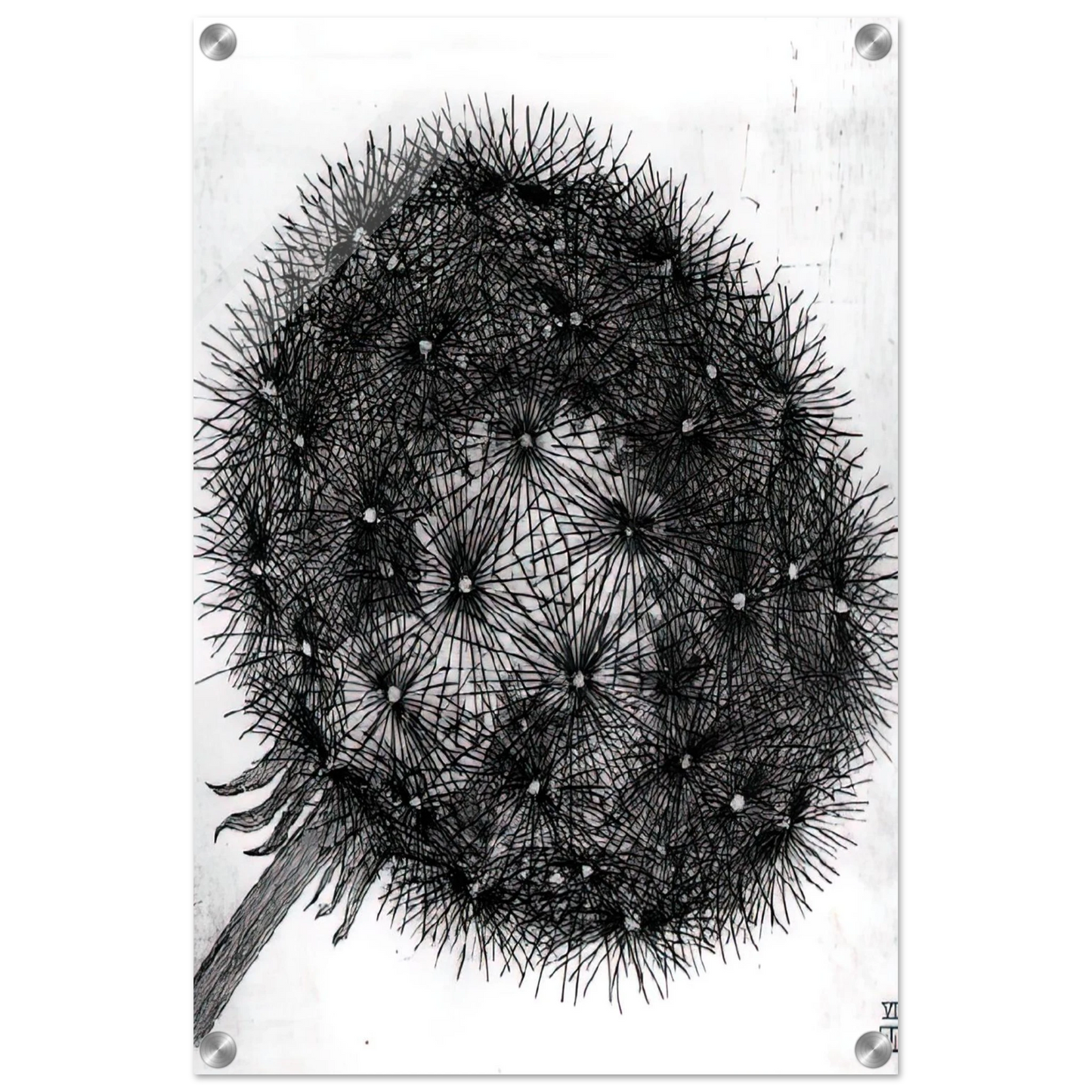 04a53851-9ae5-4906-a79c-40a6aa47a502