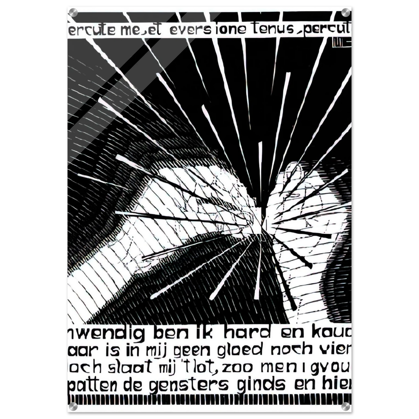 04baae6f-b593-4748-a1d7-f676ed69dd44