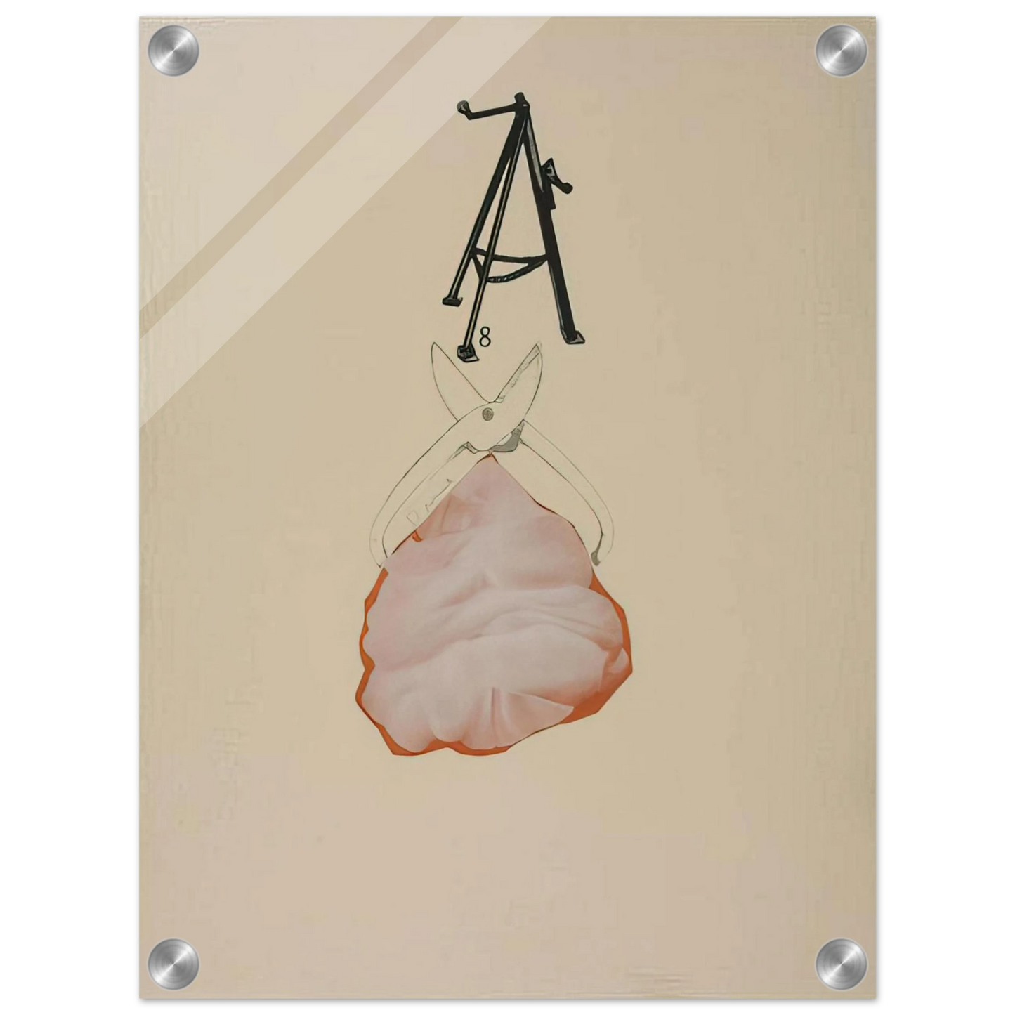 05117651-0a9d-4063-b474-aad3976000e6