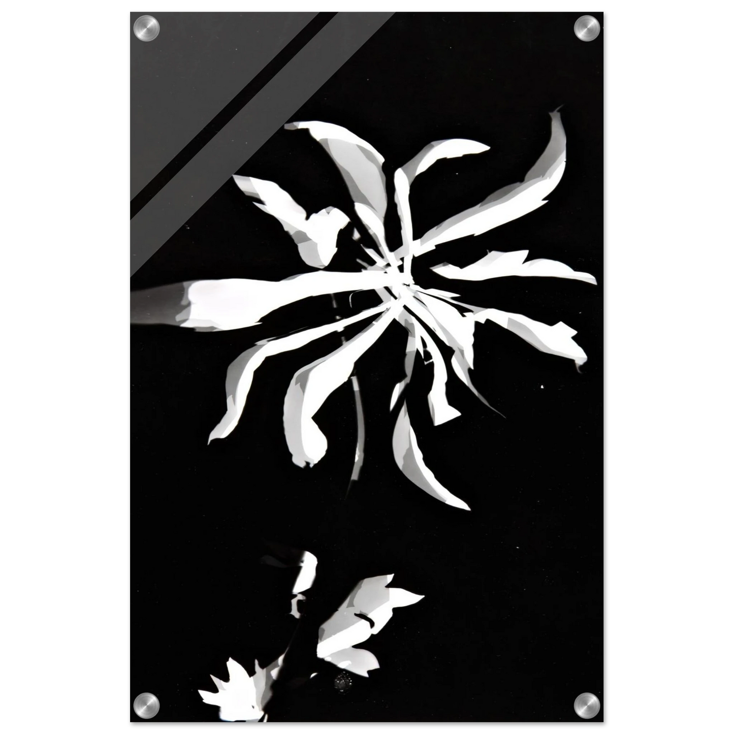 07483b74-65ef-4007-a649-162eed10dd4b