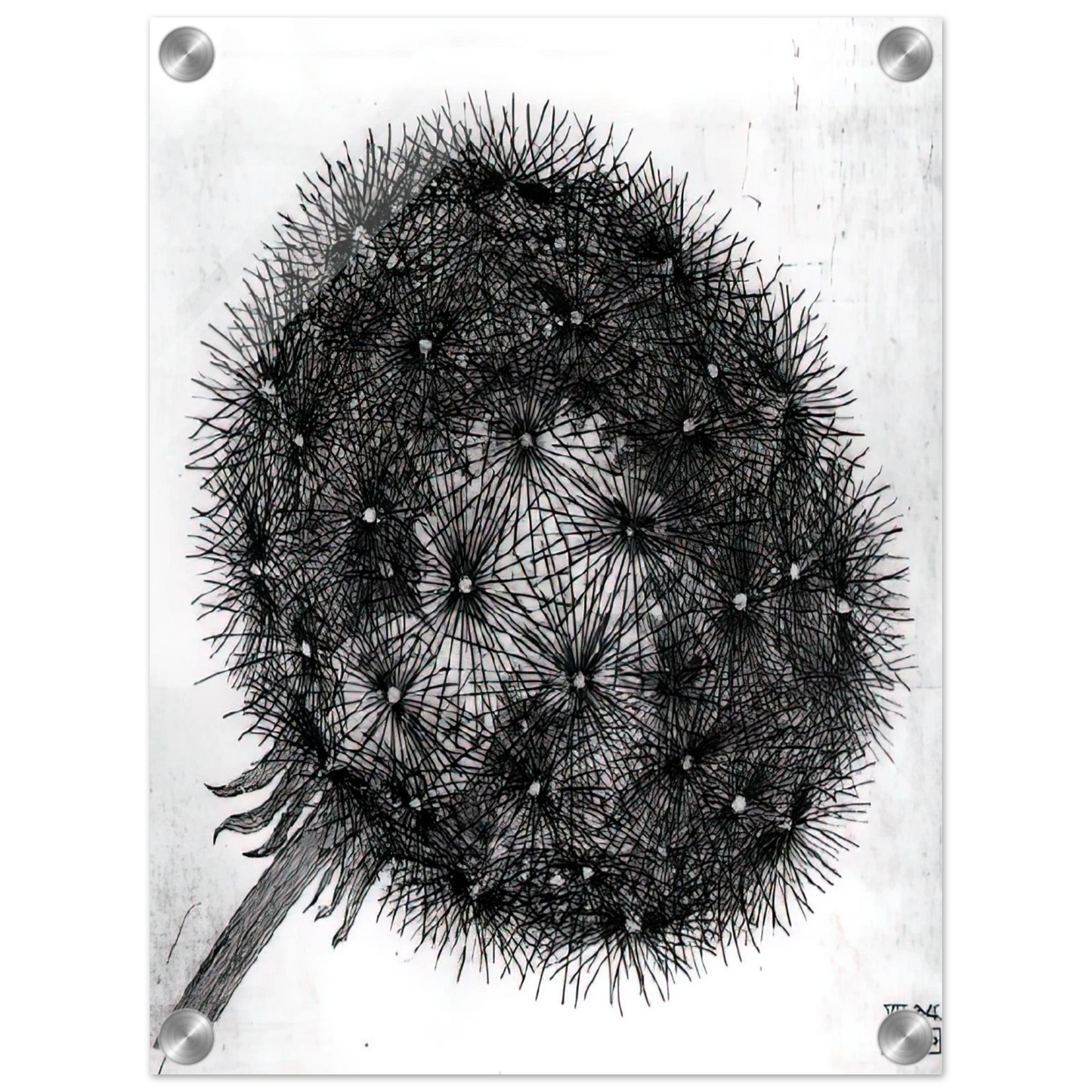 07aada92-6030-4ce2-991a-3a0a347692a2