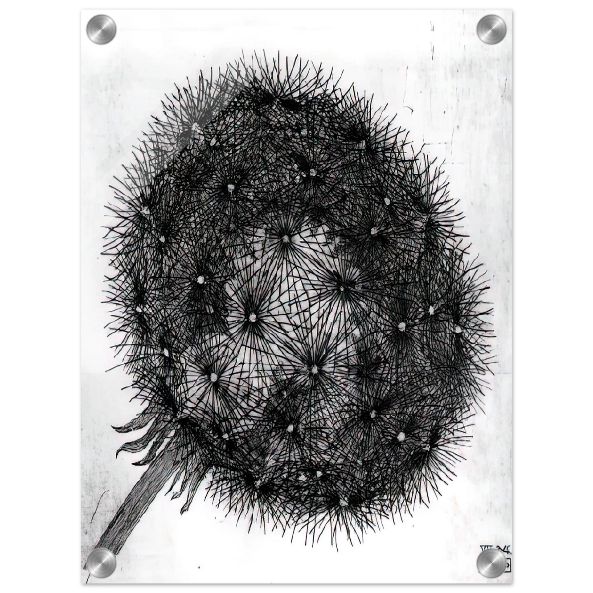 07aada92-6030-4ce2-991a-3a0a347692a2