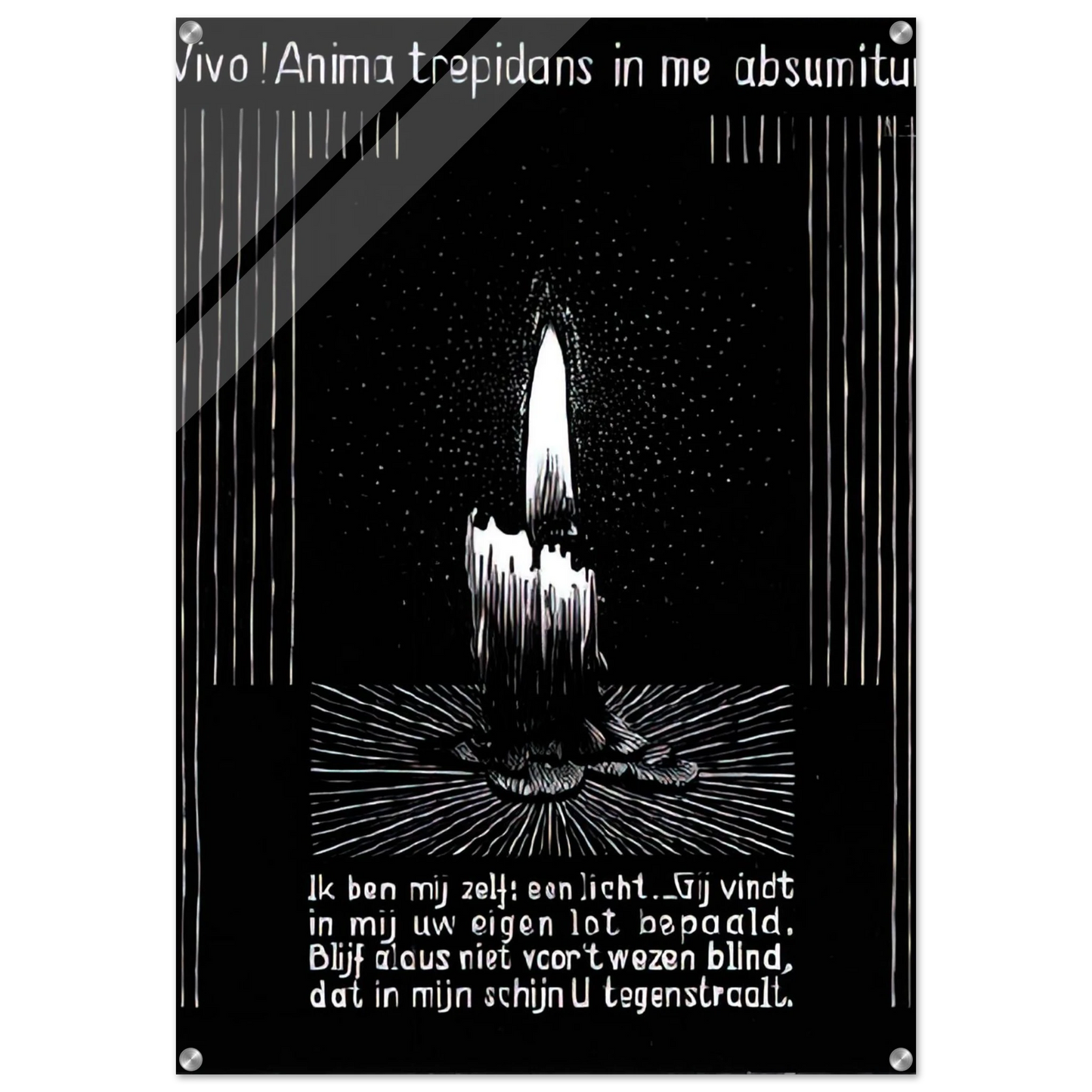 0854bc5b-f491-4a00-8363-ba8b205bcbd7