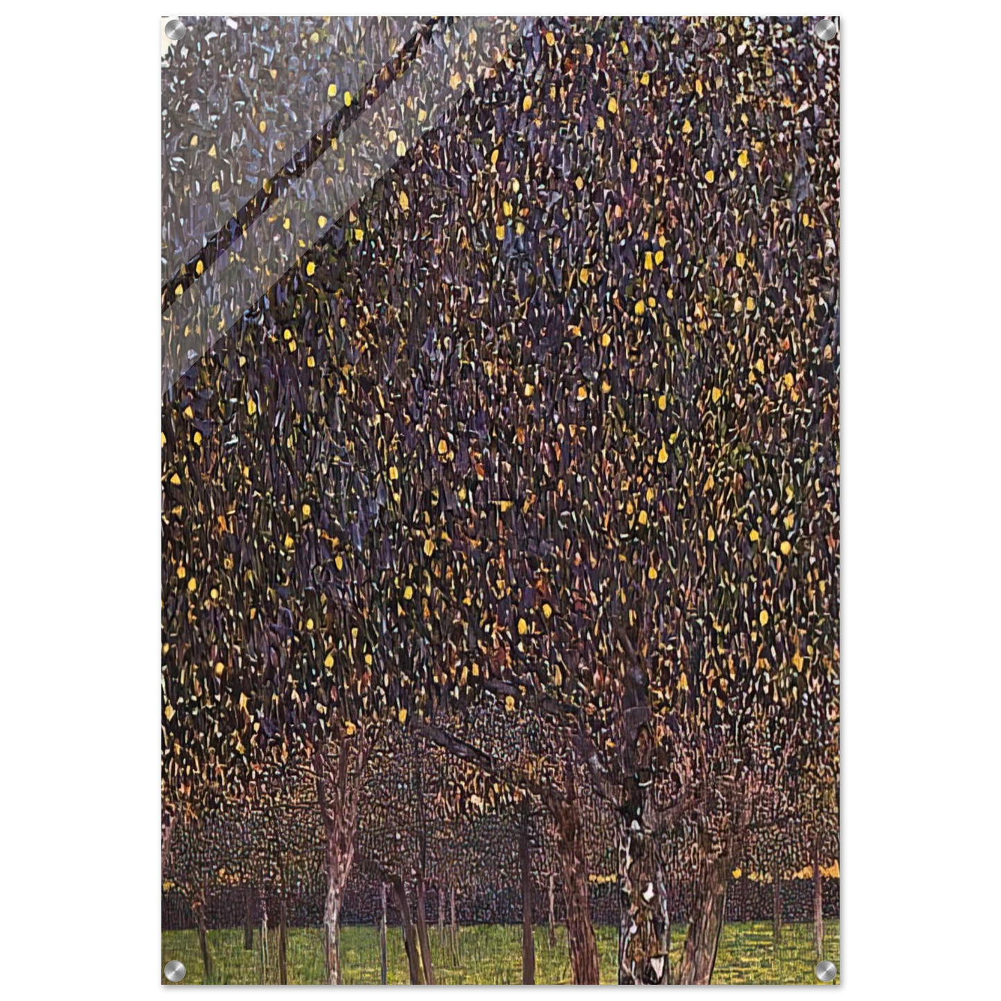 08c67c62-06aa-471d-b0b3-f61c6ae06c21