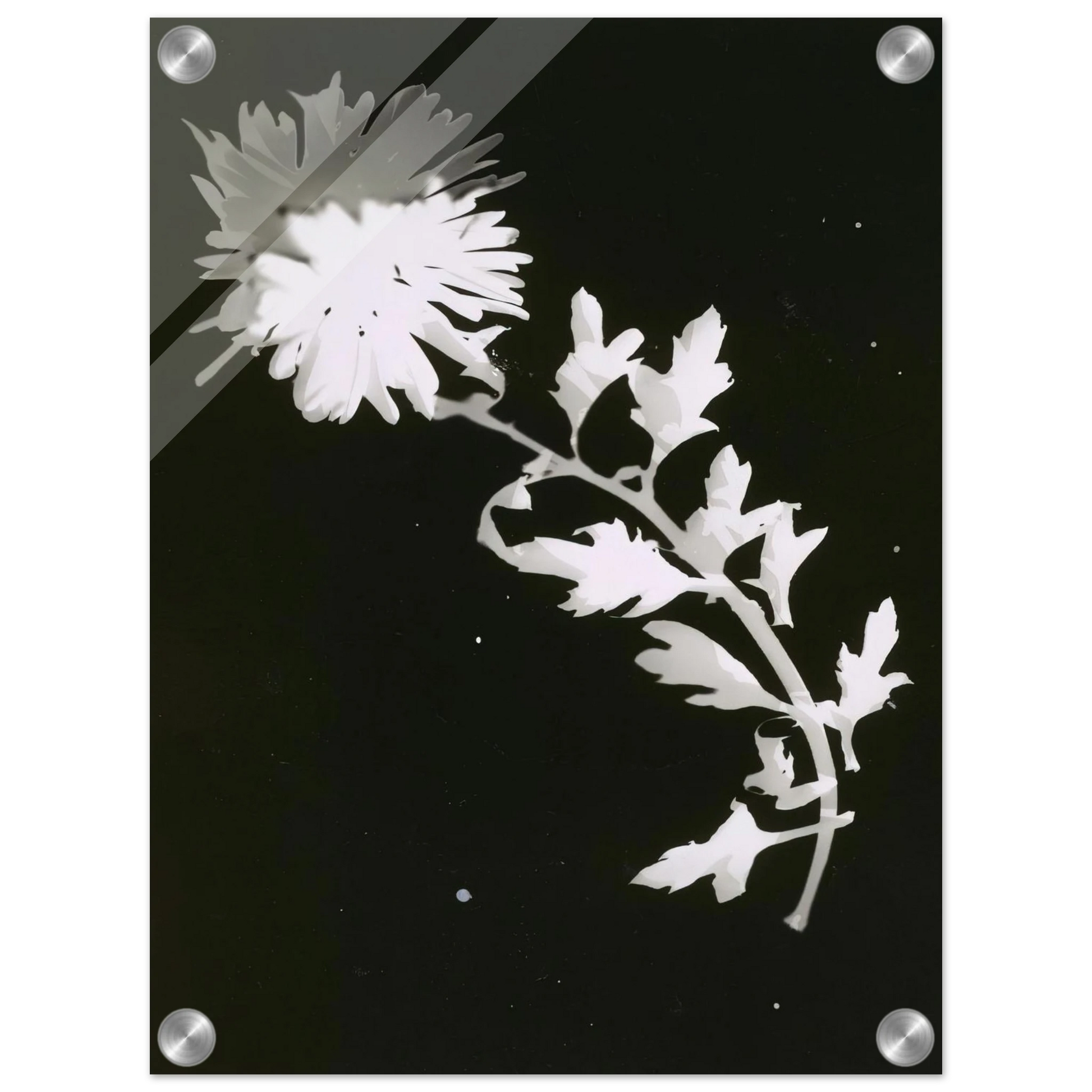 0c640aed-89a4-4421-9f24-6f985e7e91c3