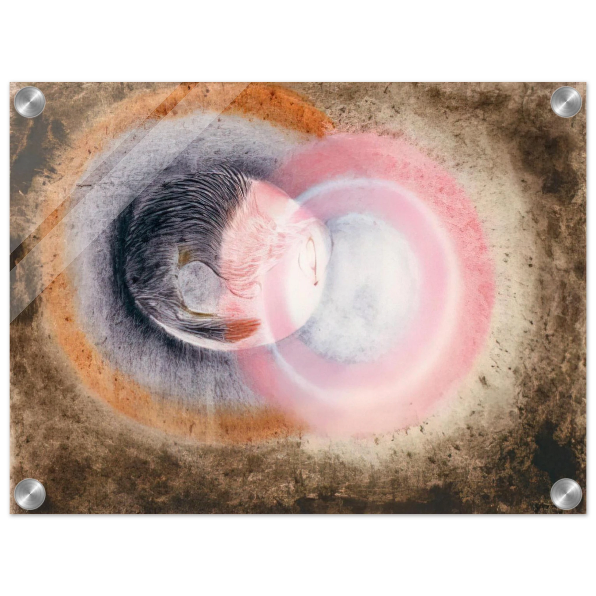 0e28efb8-1e04-4991-97ae-27eefea91c02