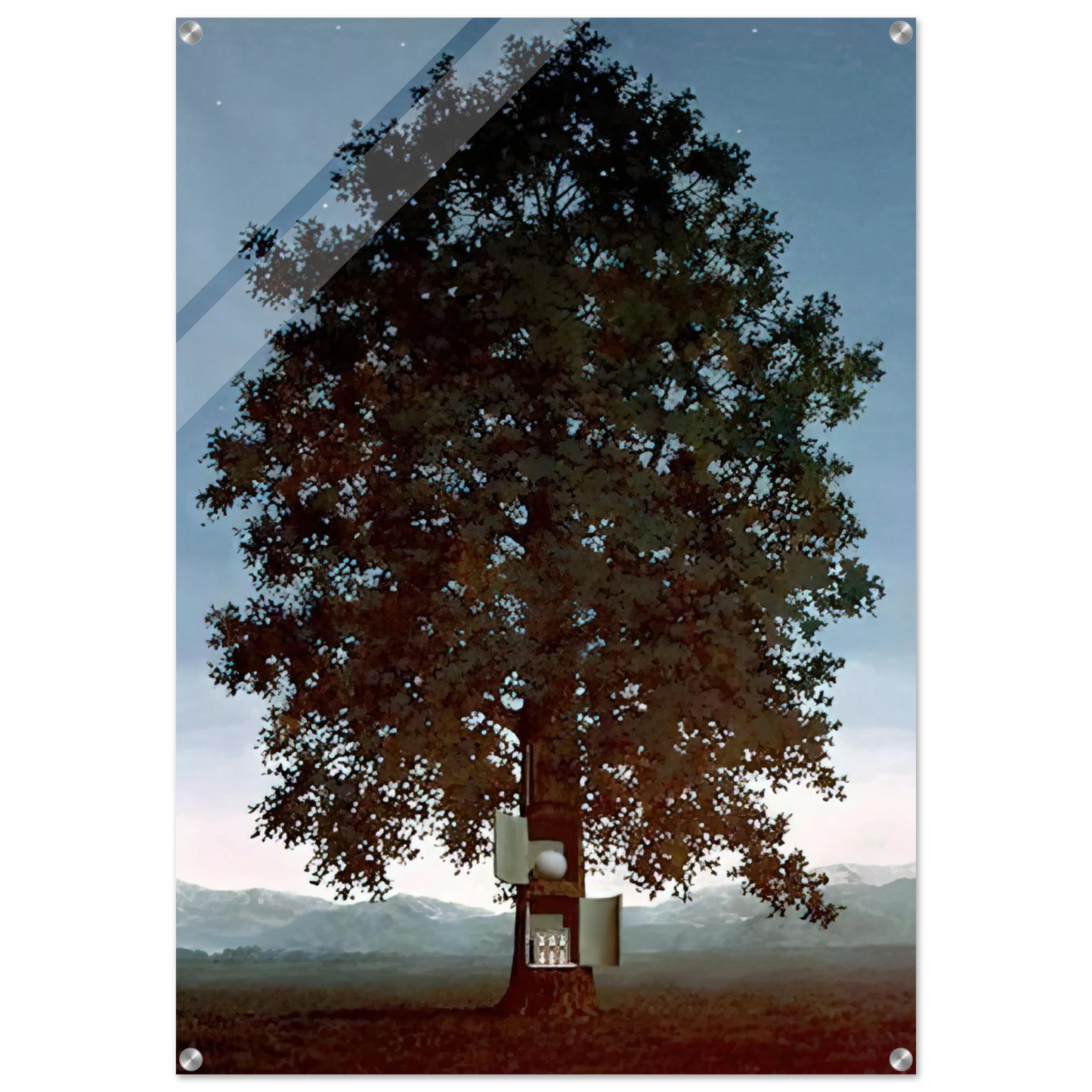 0e95c593-bca6-47fb-9c74-ec7e11be8d45