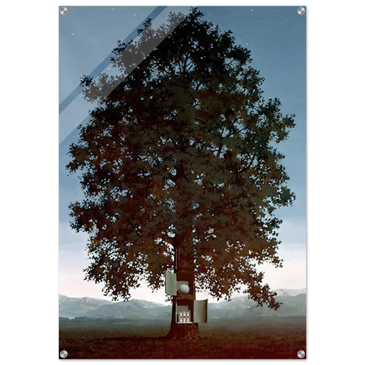 0e95c593-bca6-47fb-9c74-ec7e11be8d45