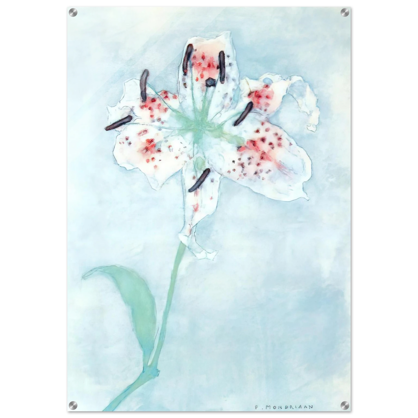 0f46c573-8a7f-4745-a6c0-e20348fcd2cd