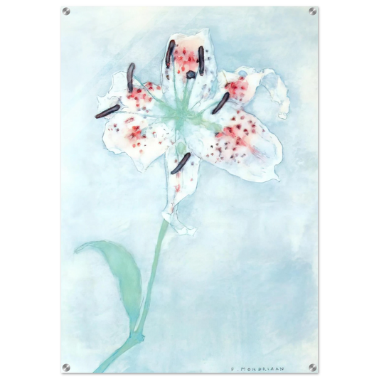 0f46c573-8a7f-4745-a6c0-e20348fcd2cd