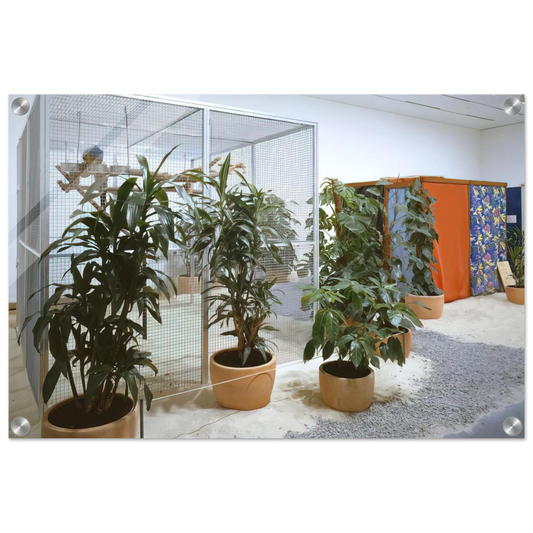 10caa7d5-d952-4564-b7d2-521d688f124b