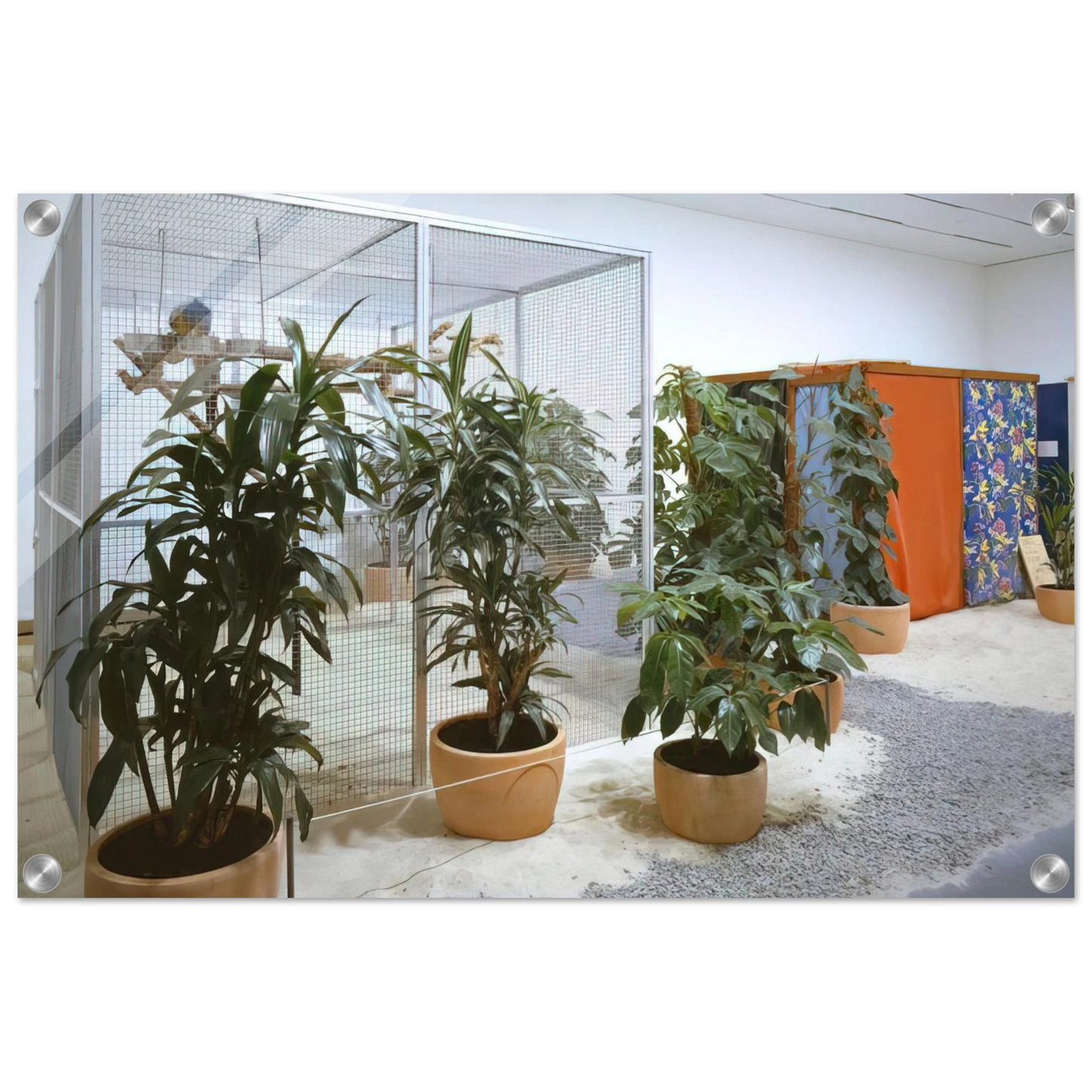 10caa7d5-d952-4564-b7d2-521d688f124b