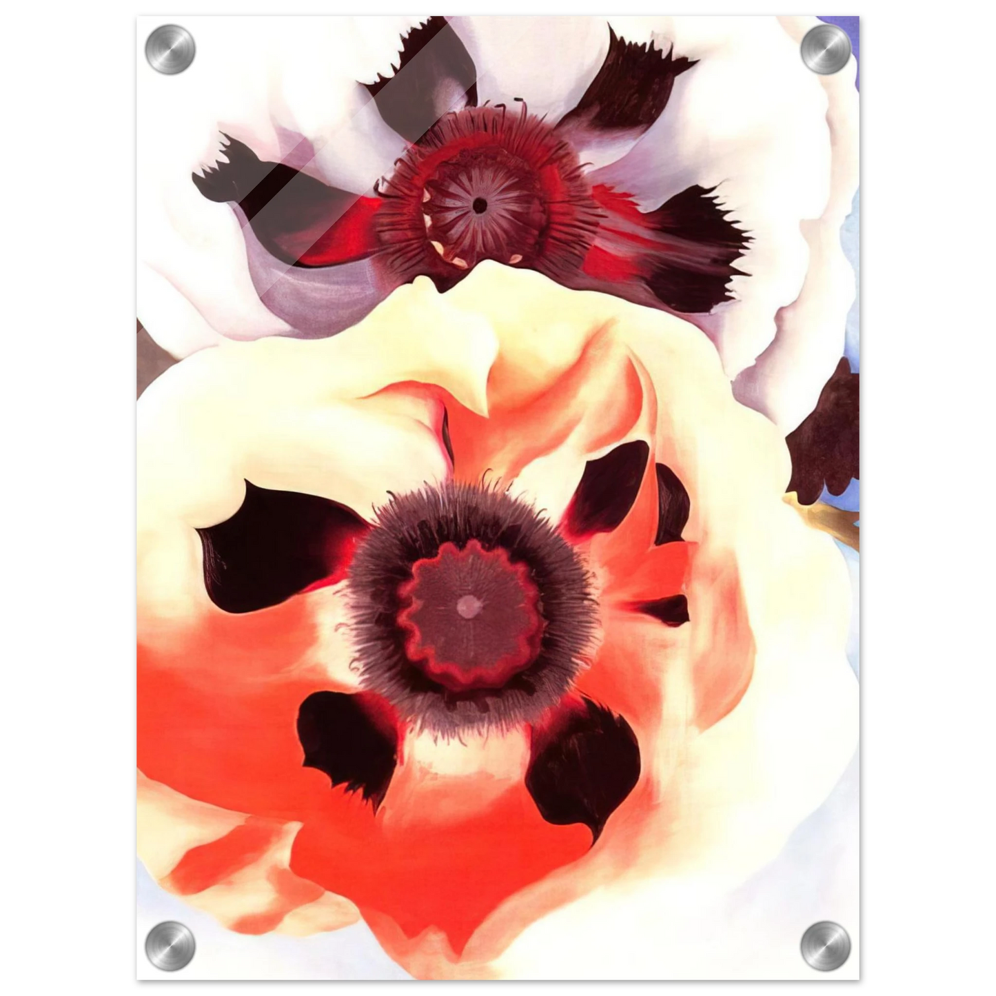 117bc3e9-5767-4617-adac-c6fc78edee60