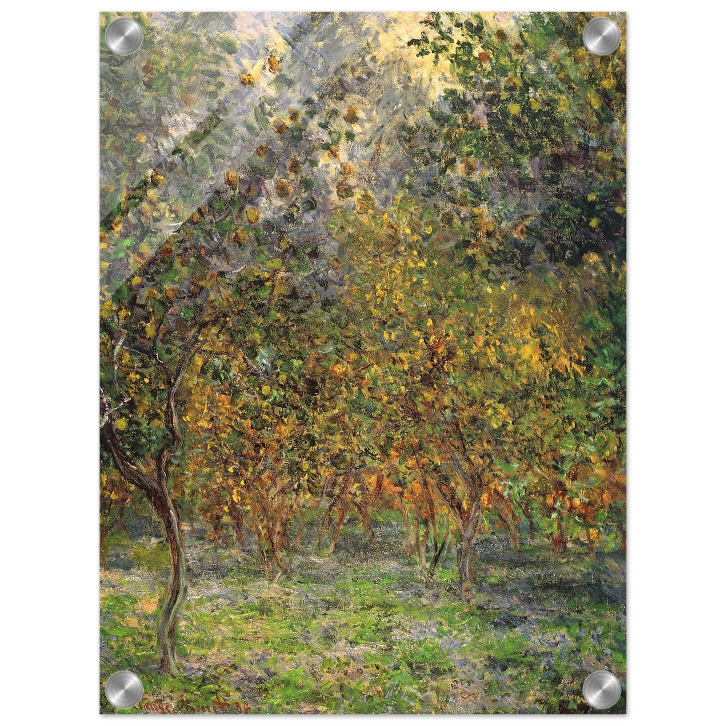 119c8f87-b19d-41c9-abe3-6f1bbdd05299