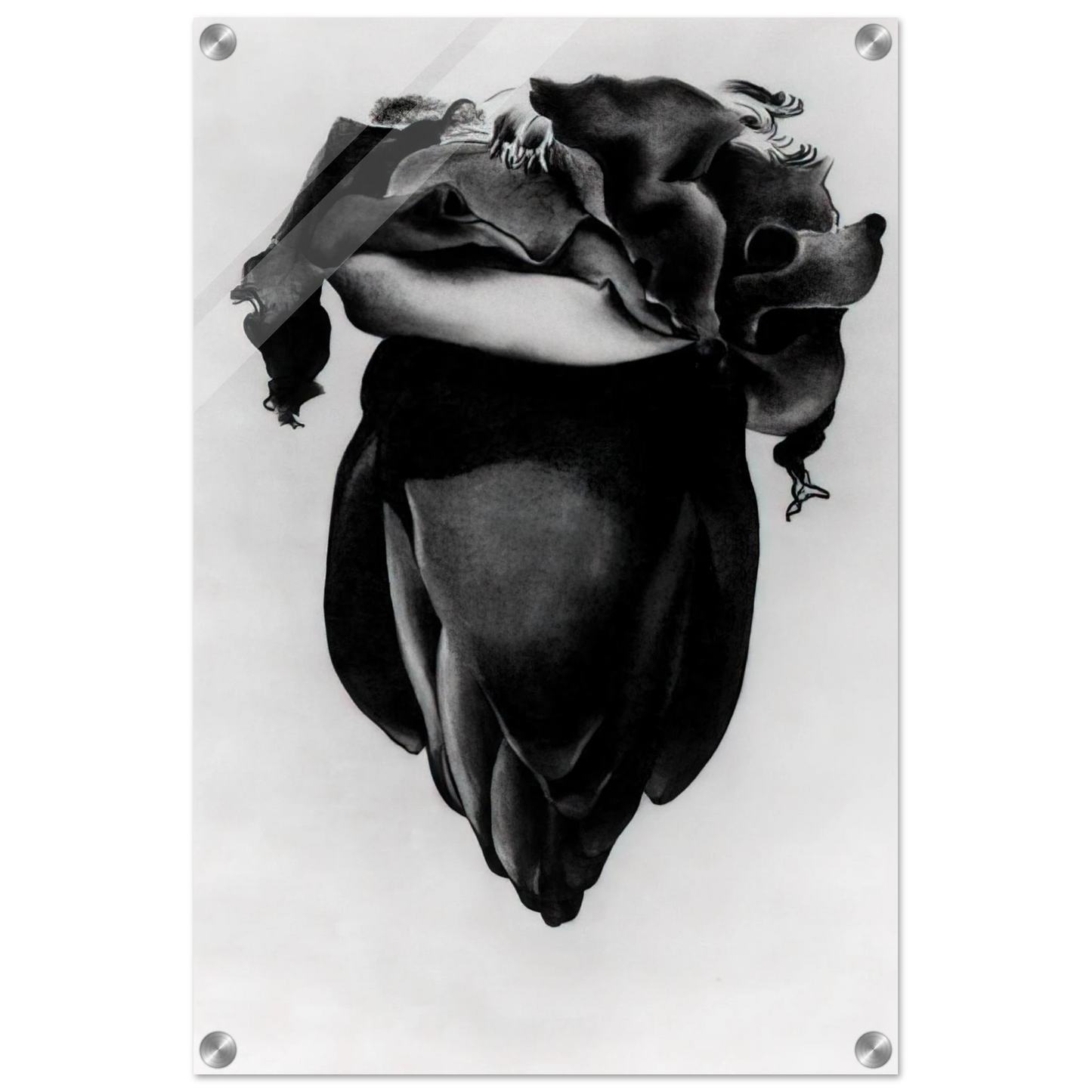 1243640b-e446-4e59-9567-fc4542dbf438