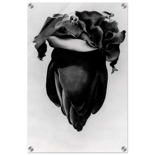 1243640b-e446-4e59-9567-fc4542dbf438