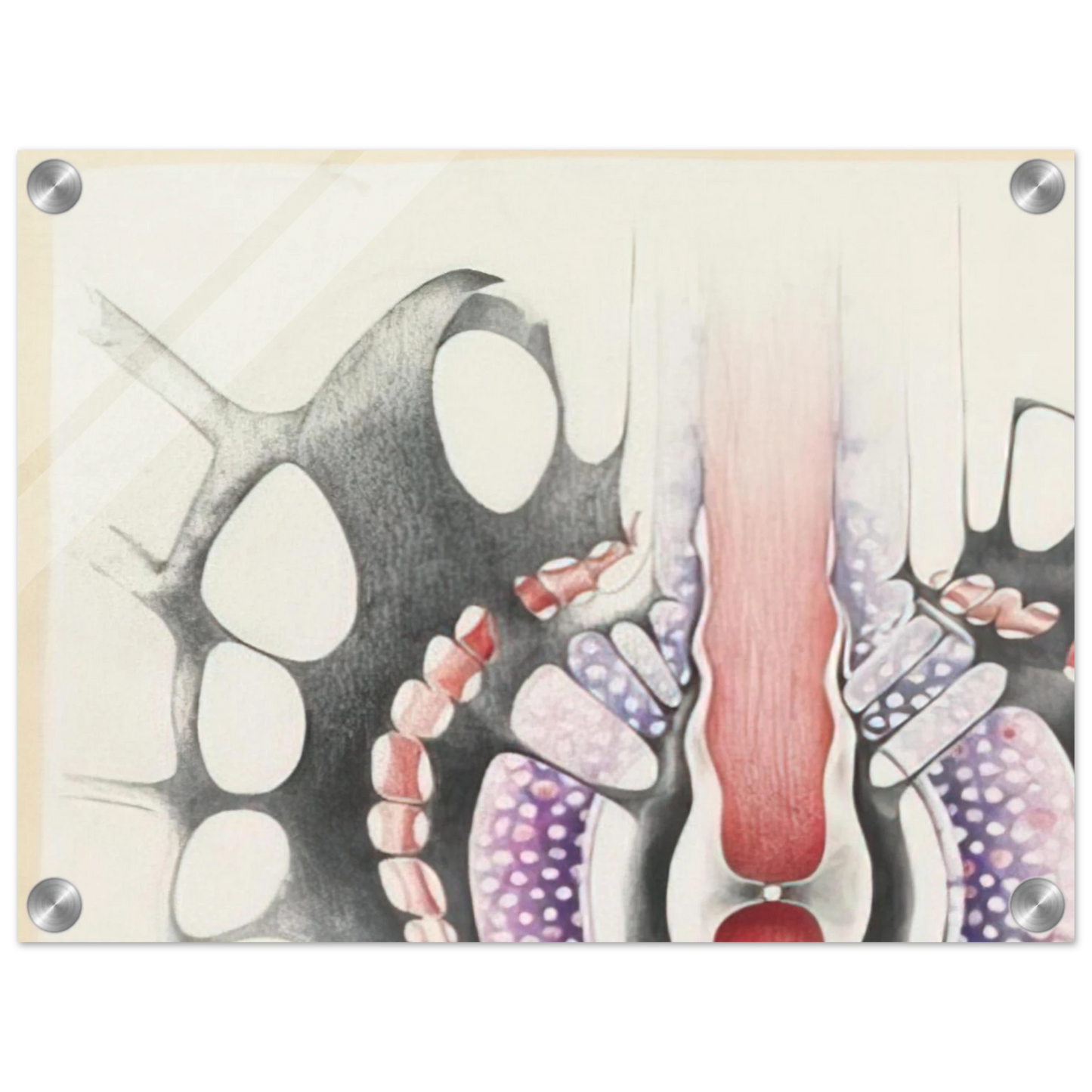 12a4aa99-8b4a-4403-b2c7-8cf2aca8f405