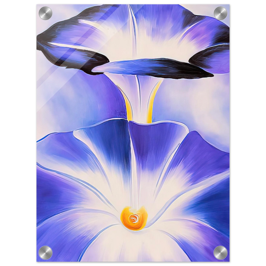 1322b066-f626-4650-8e33-ca002ec9064e