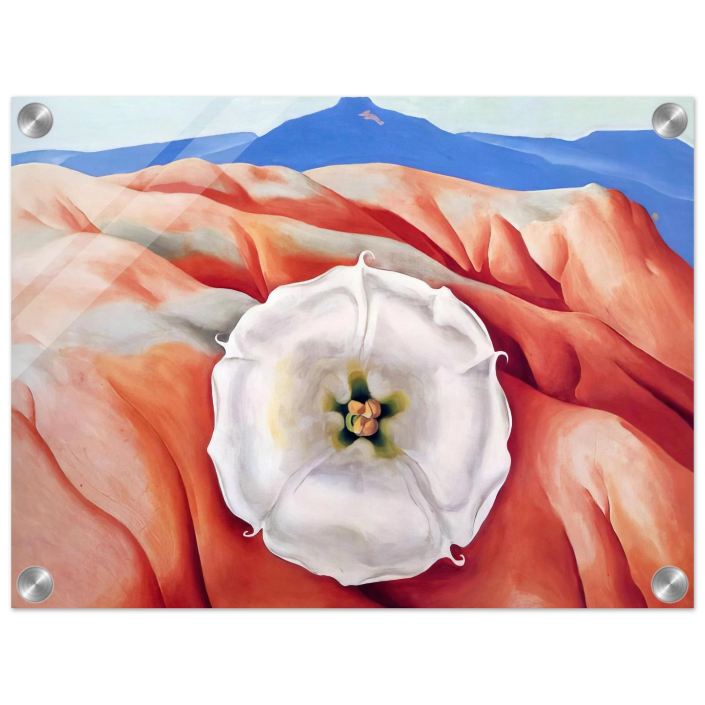 13ac4ba0-921a-430d-88dc-fae9ed9c288a