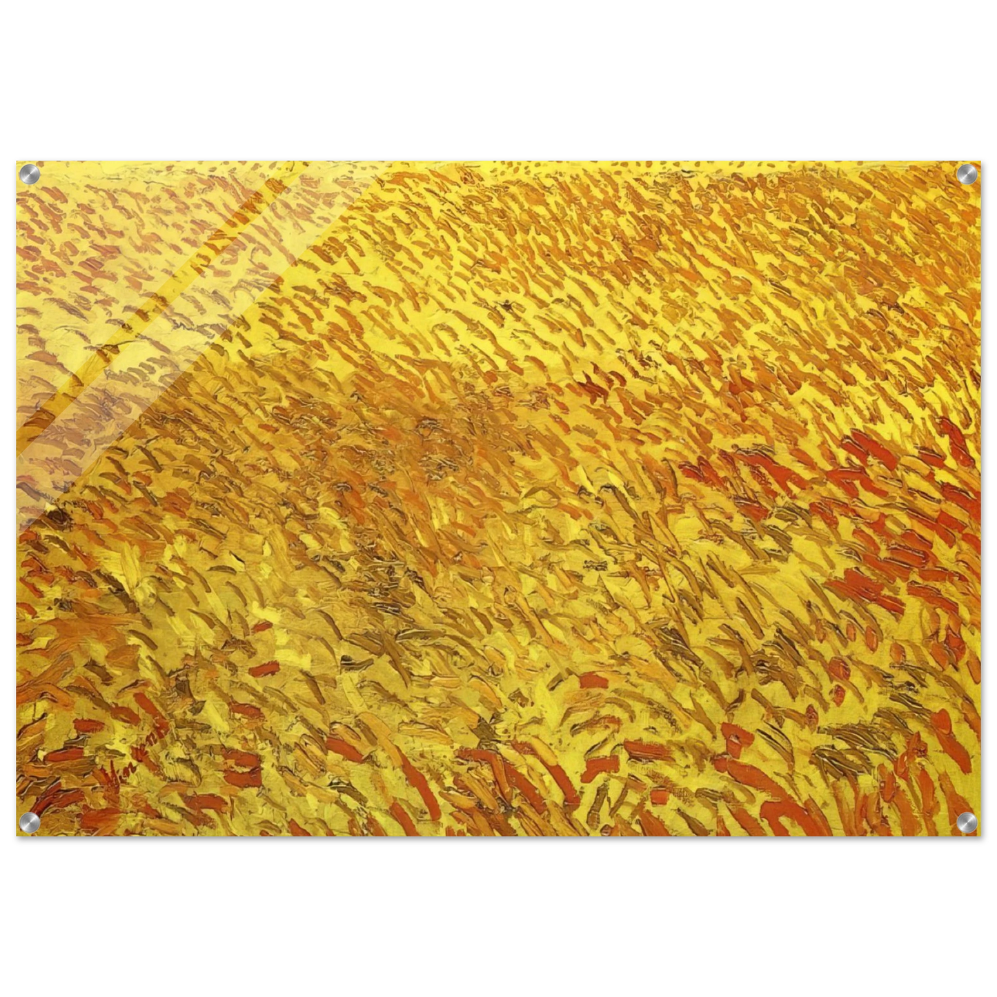 1432fa8e-af03-49bf-b36e-699756e6bef5