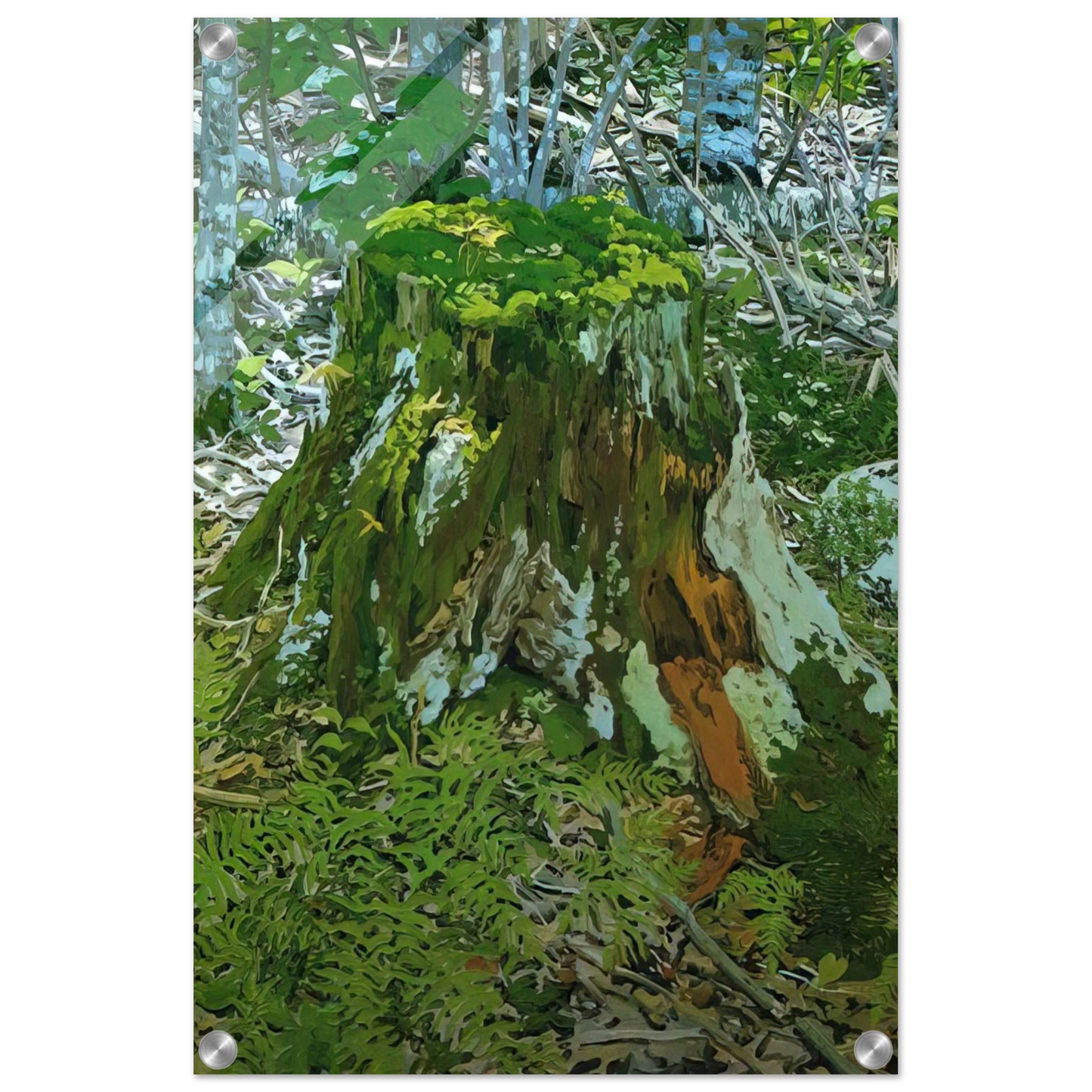 15139670-3edf-480b-8768-1df03f7d6d9f