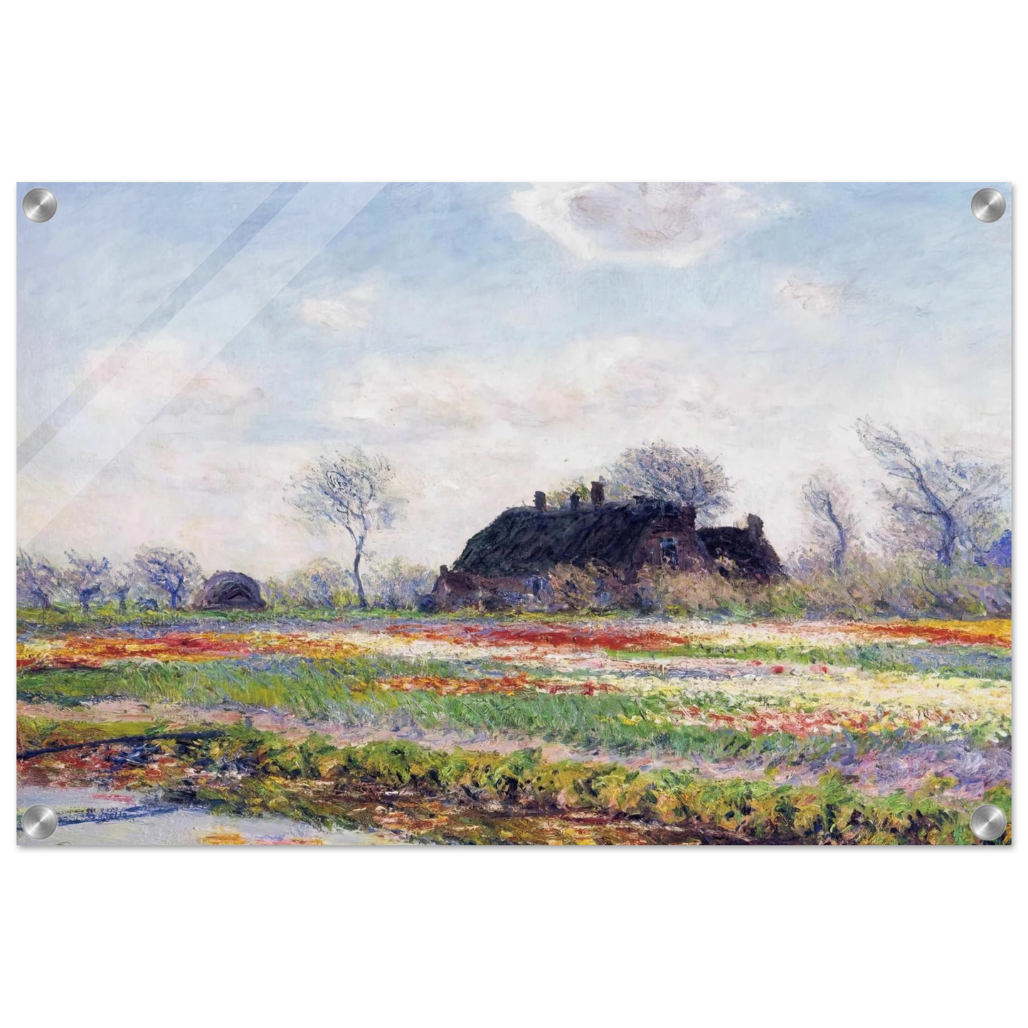 17d5a191-4ba5-4226-b598-4dc6613c241f