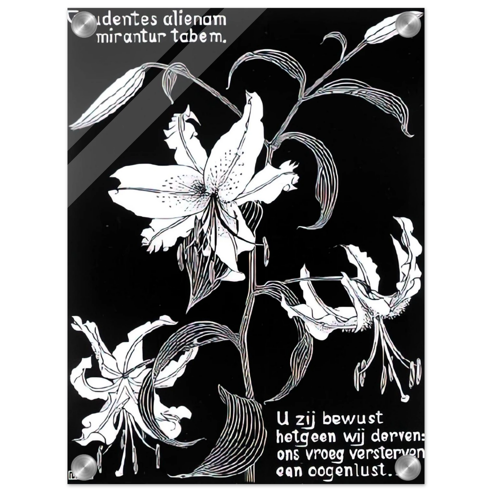 180beb16-09e2-4e33-a801-a83bf7b9d475