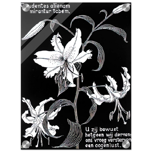 180beb16-09e2-4e33-a801-a83bf7b9d475