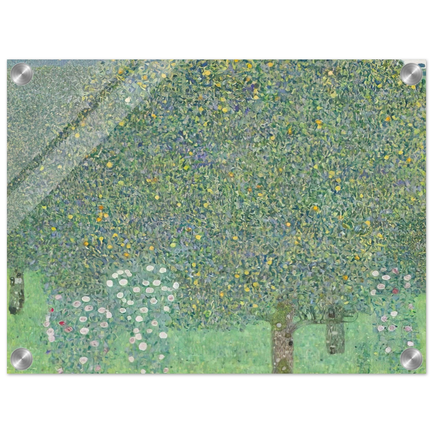 18179c6f-0dac-4069-ad8a-a8ed5f3ea5f8