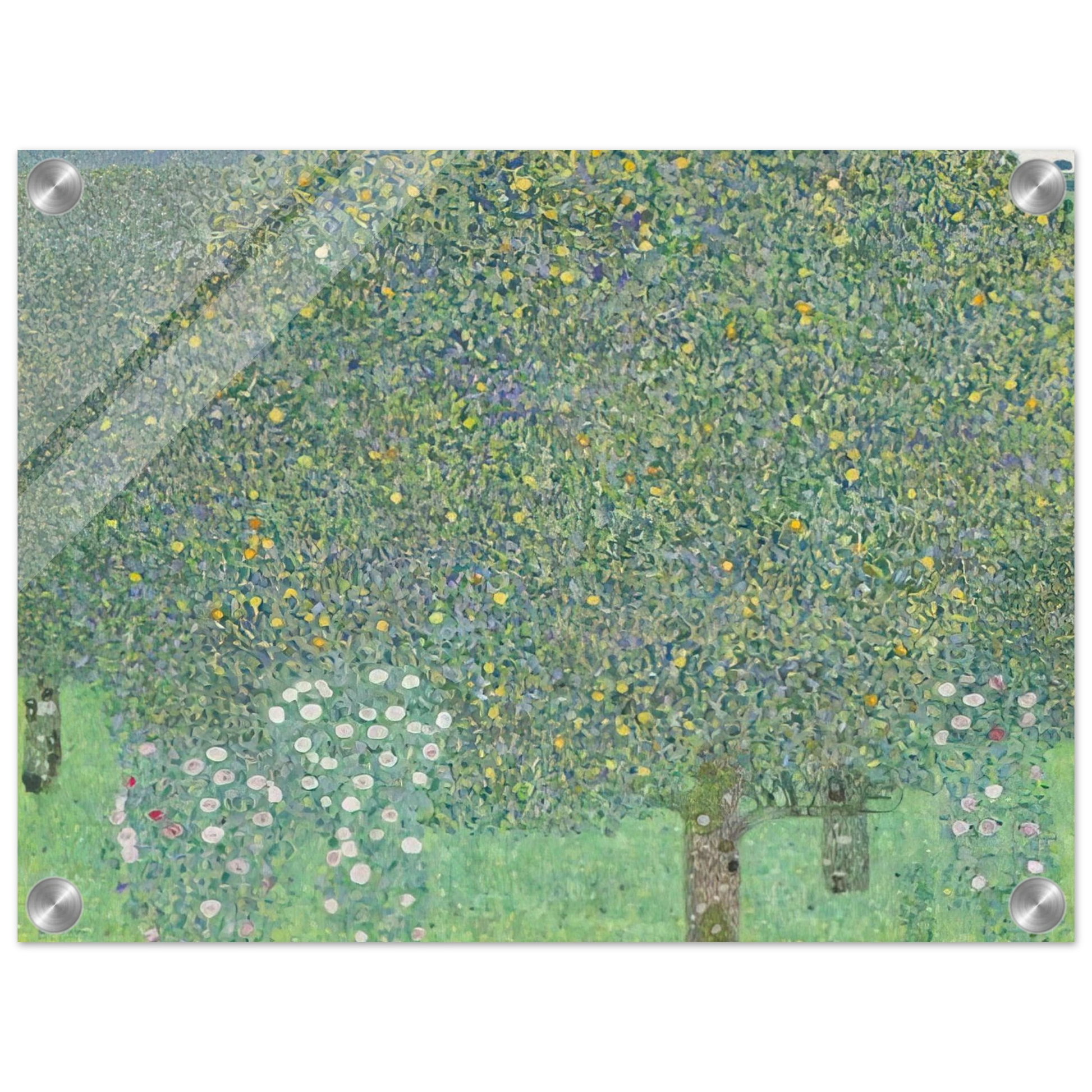 18179c6f-0dac-4069-ad8a-a8ed5f3ea5f8