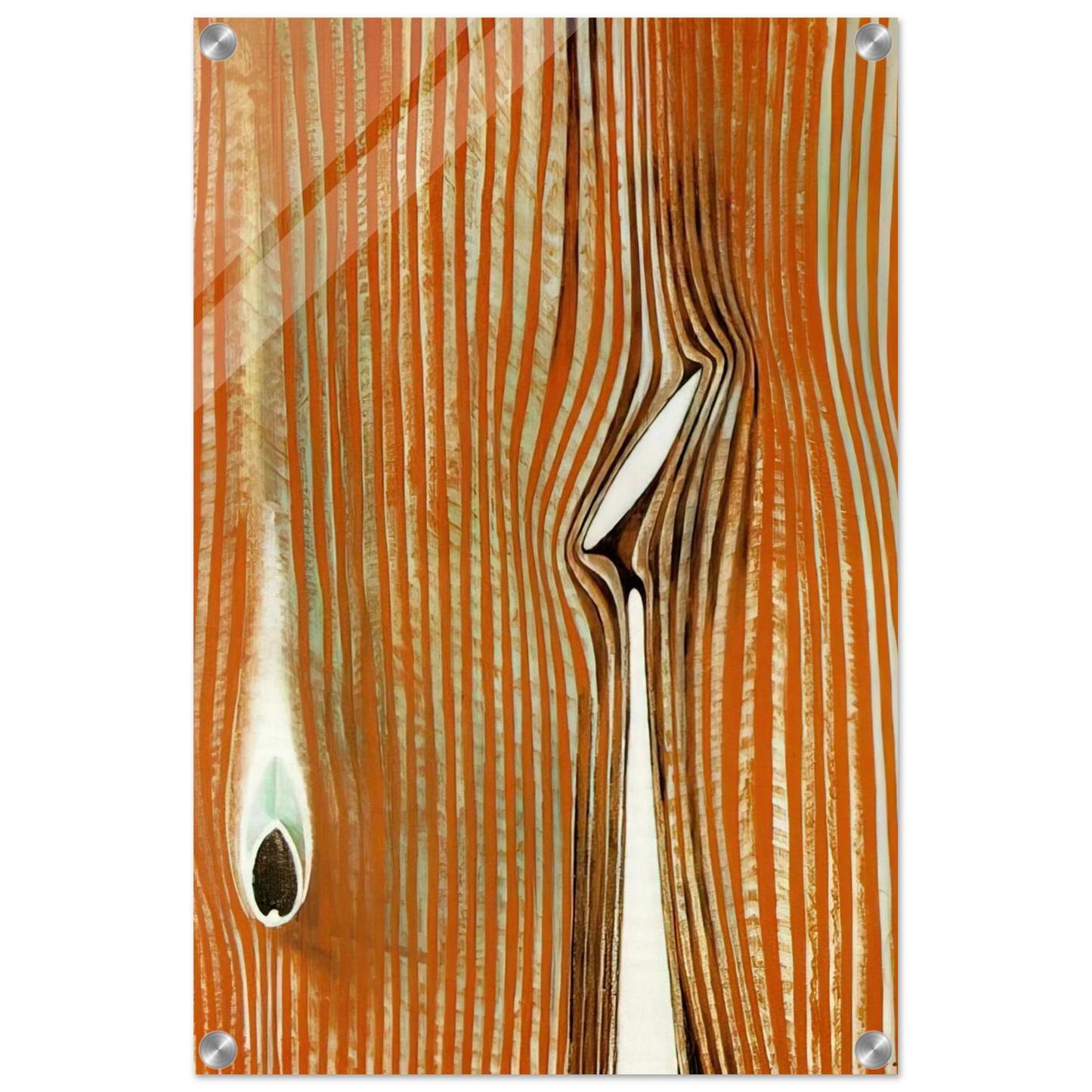 186cd1f6-c9e4-49a5-b88b-03e747e67834