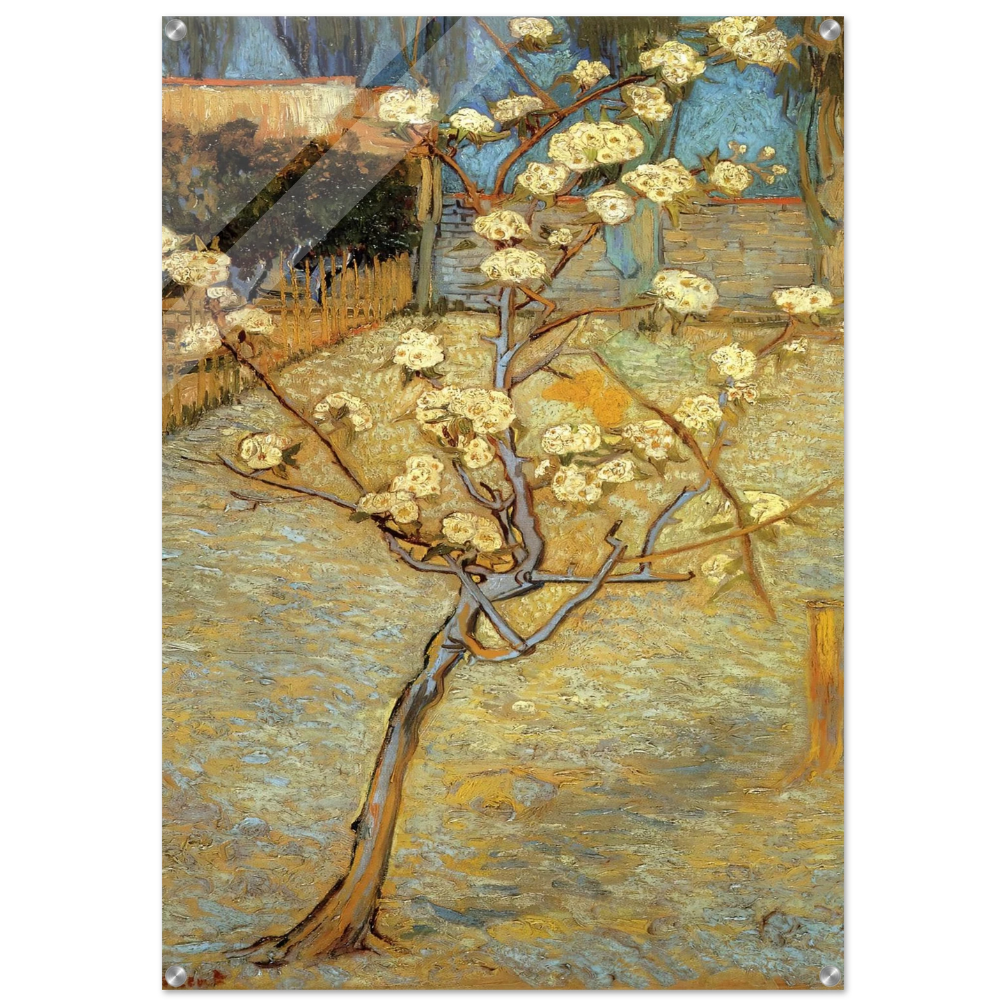 188f1229-0044-45e0-ae76-6fa0c95b6ef7