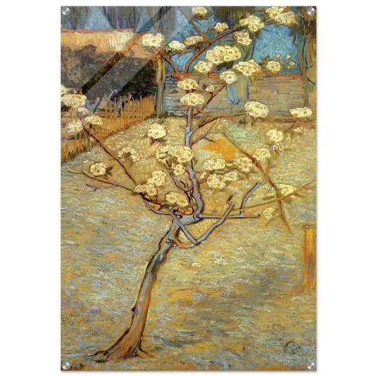 188f1229-0044-45e0-ae76-6fa0c95b6ef7