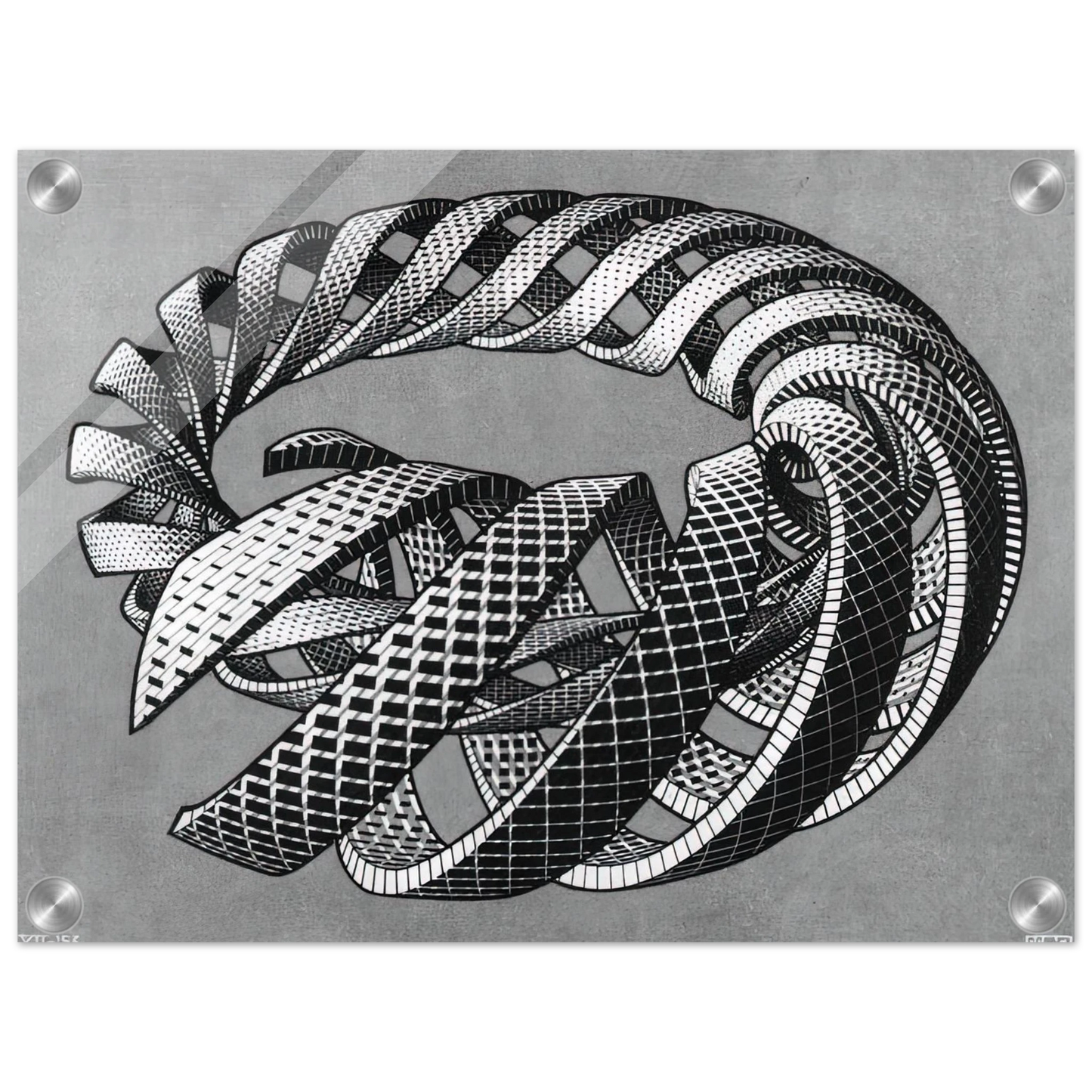 19b4fb8a-1bc8-438b-a67c-05972ffff427