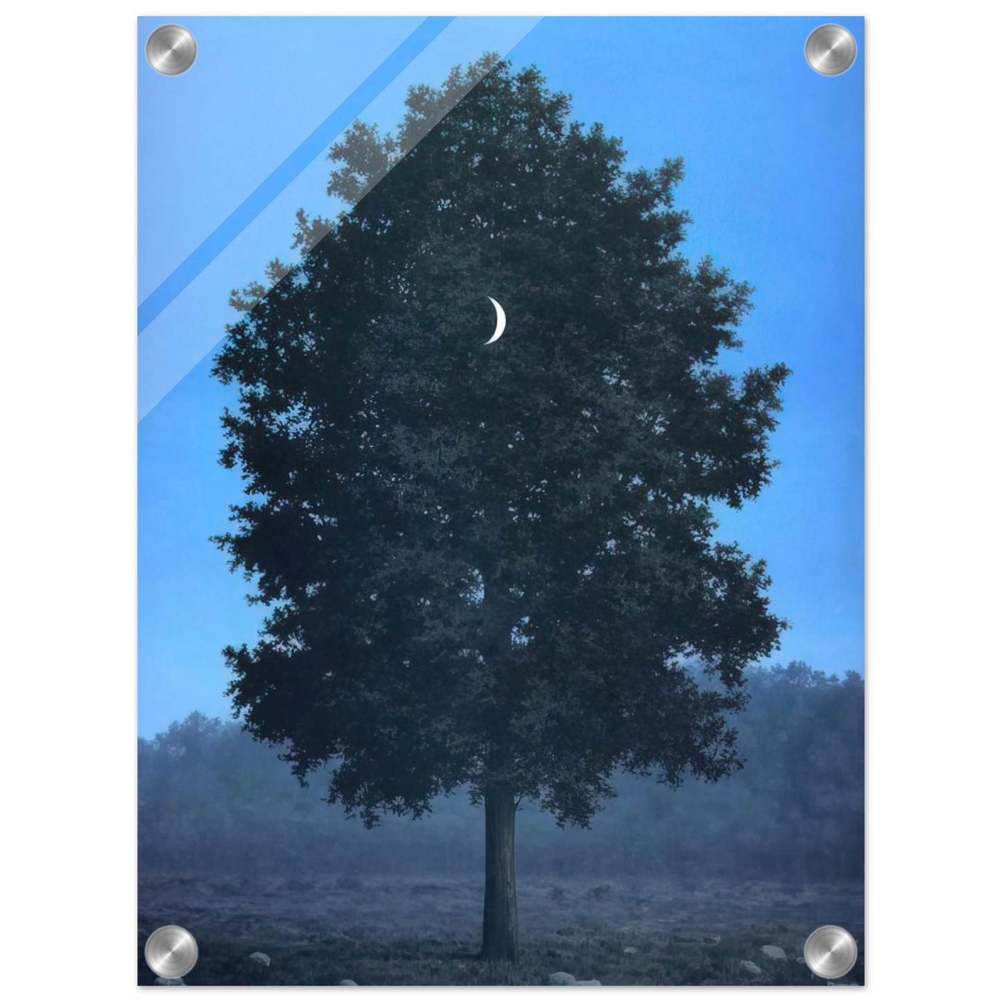 1ac30dc9-bce9-4ac5-8b93-7c68fc0dfead