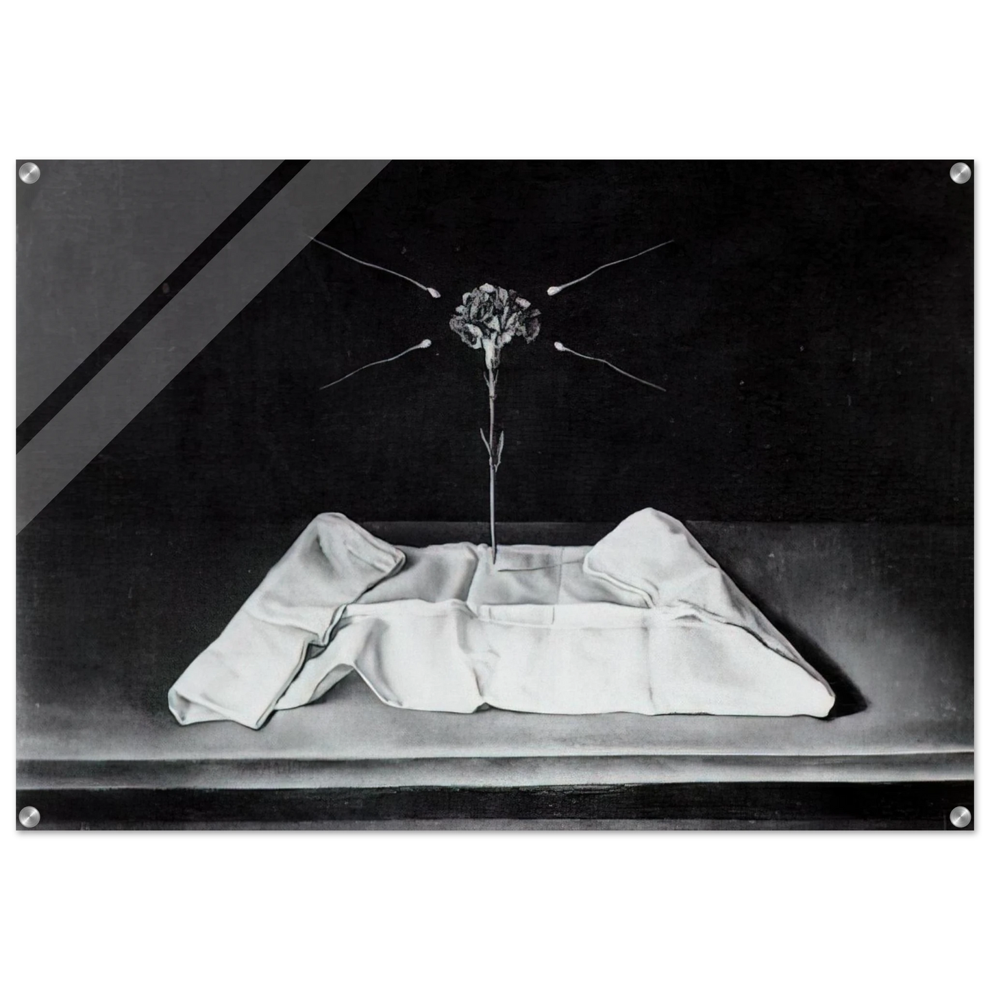 1c2972ac-7d10-41ab-836d-b4a14fb9a19b