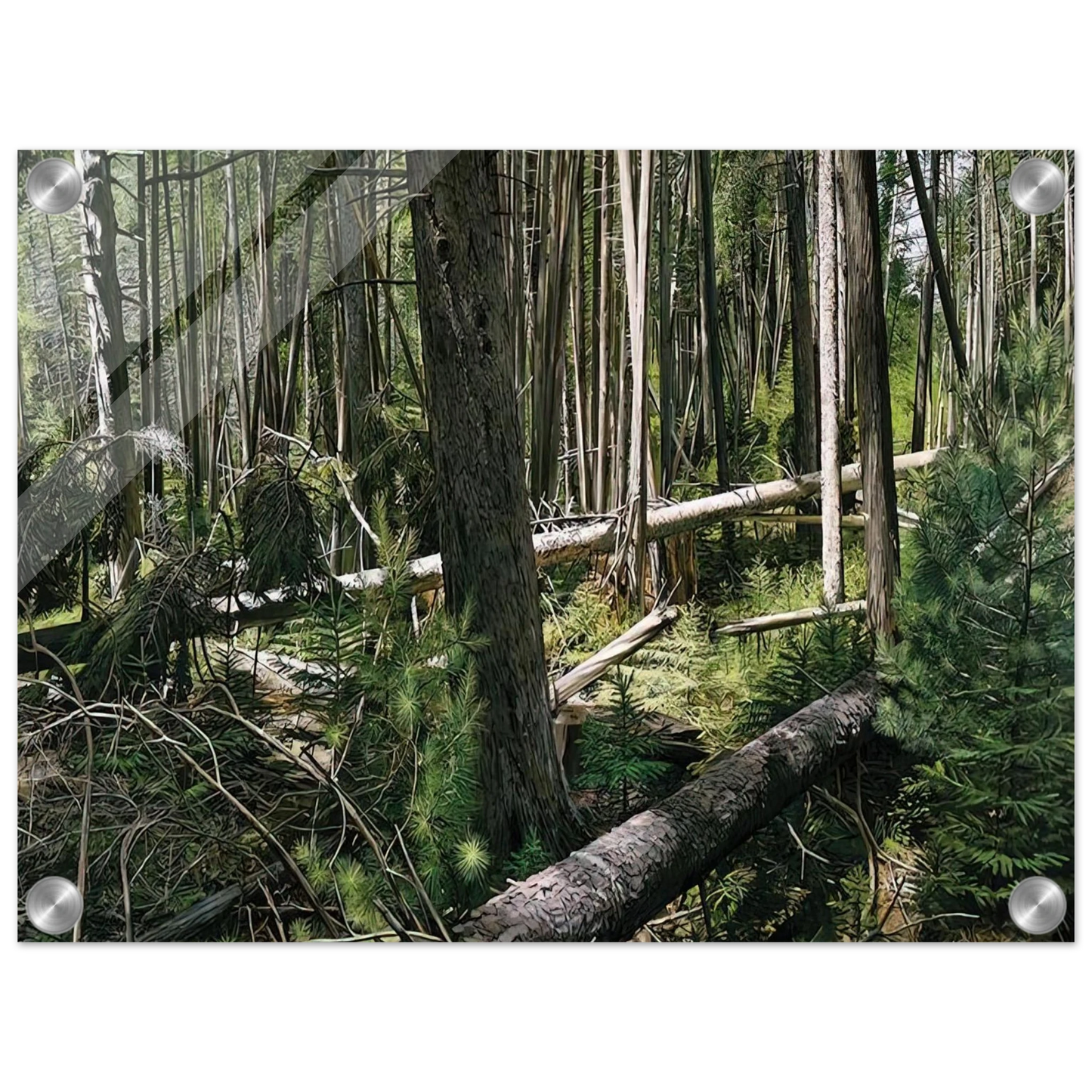 1c51b8ae-607a-4e0c-aef5-3eef110bf7dd