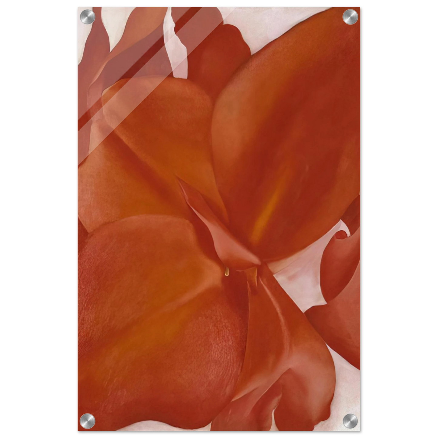 1cc1f3cd-3a81-4bcc-b993-b9e866f10bd5