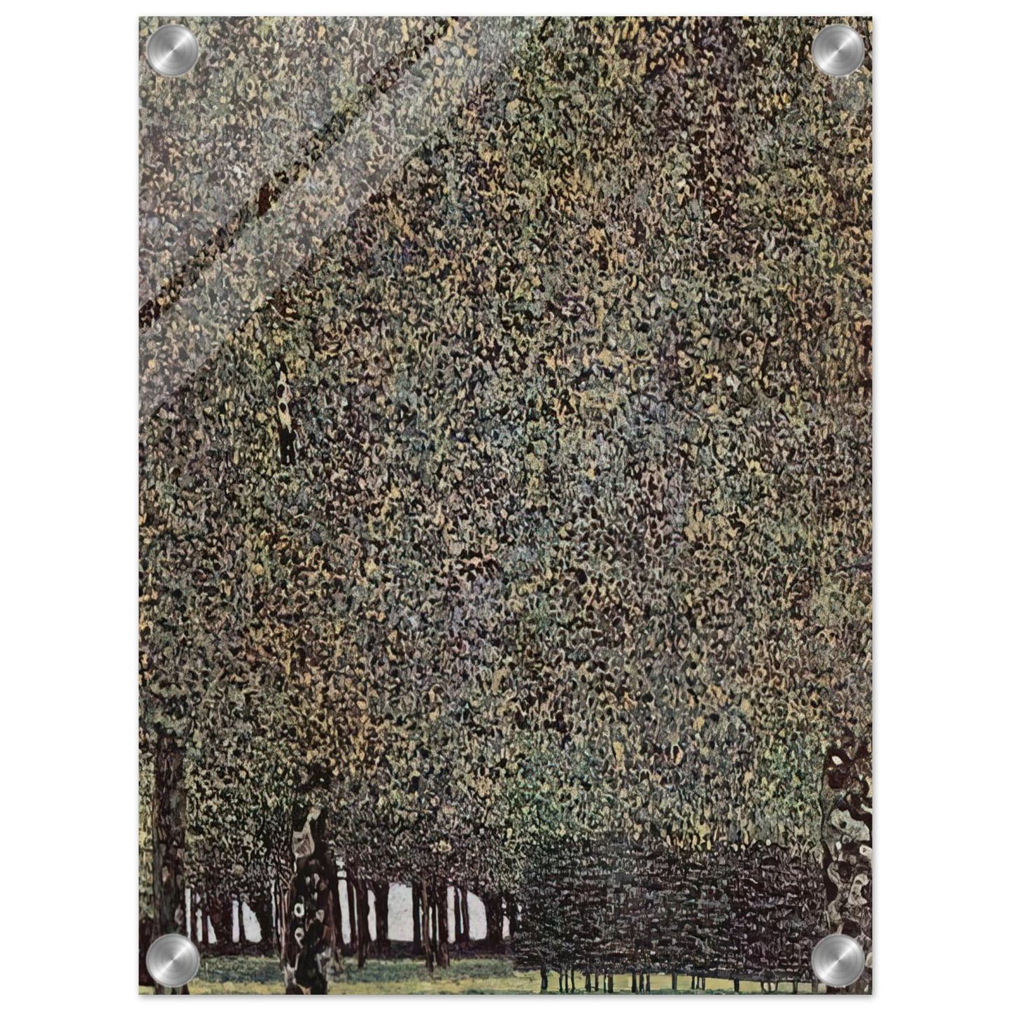 1d046990-bff3-4633-bcb9-c4a1a5ec480d