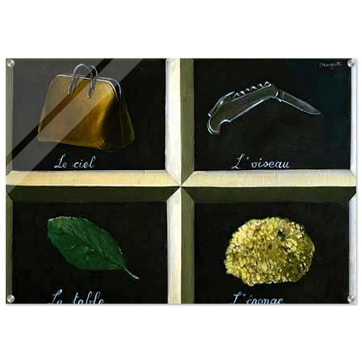 1db46bff-208c-4dd8-b3c5-932318388a2b