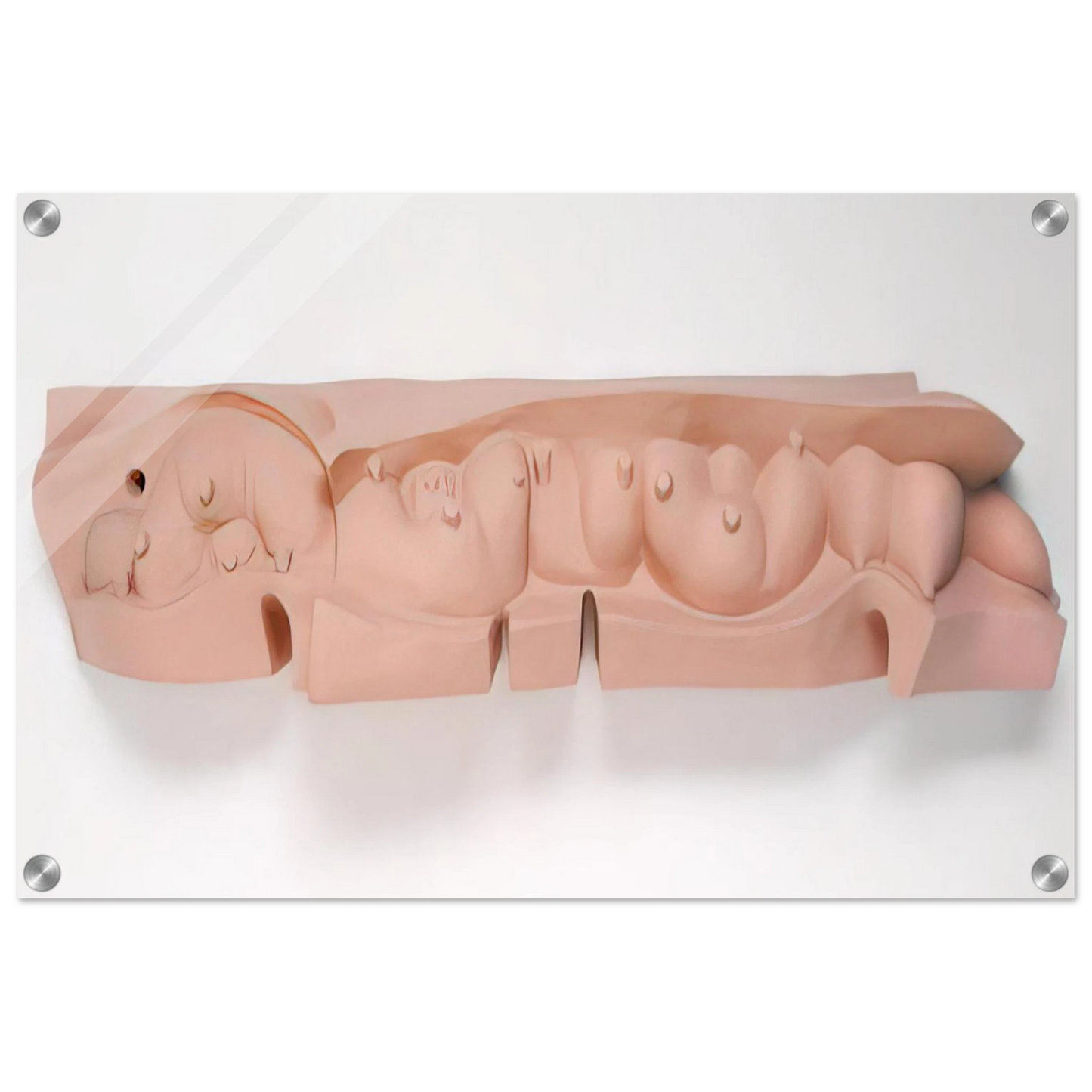 1e027d7b-2535-4ce1-b50c-098034c96c48