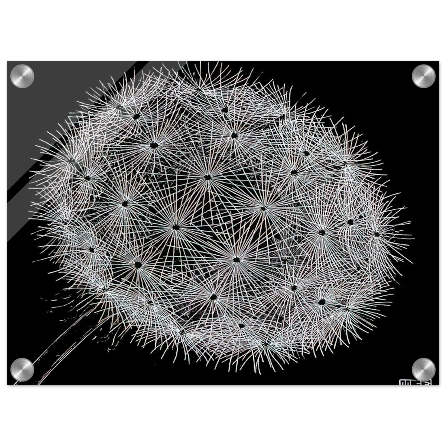 1f0a2e8d-dd70-48a8-b5c0-0f3793a9880b