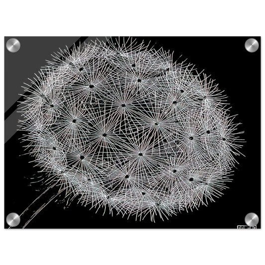 1f0a2e8d-dd70-48a8-b5c0-0f3793a9880b