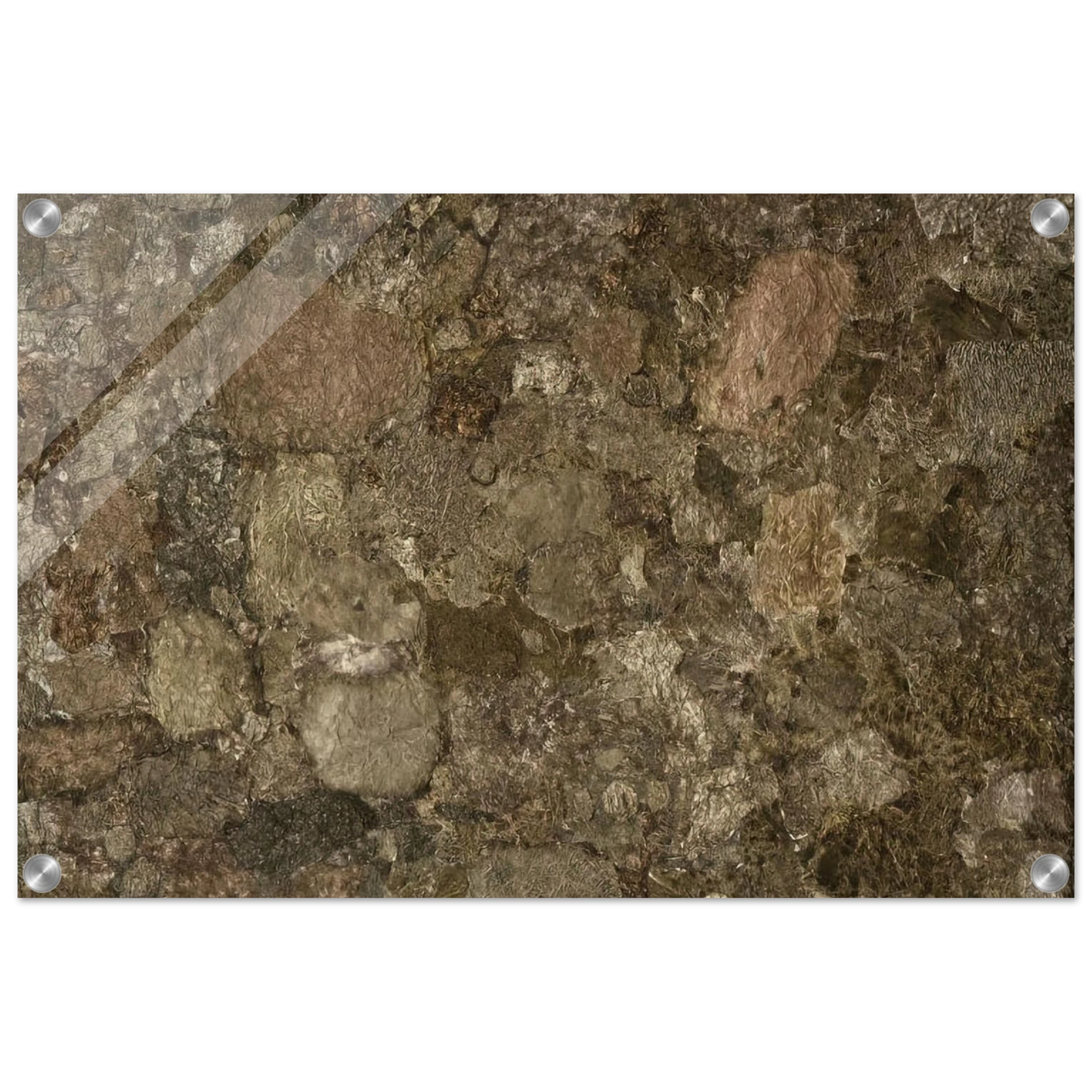 205e959b-9b0d-41cb-b828-5d7b0738b0d6