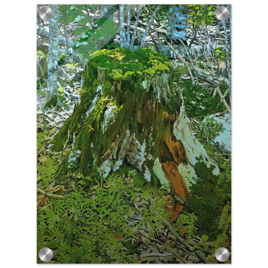 205ea43c-01c7-4908-a02c-5fdea180bd33