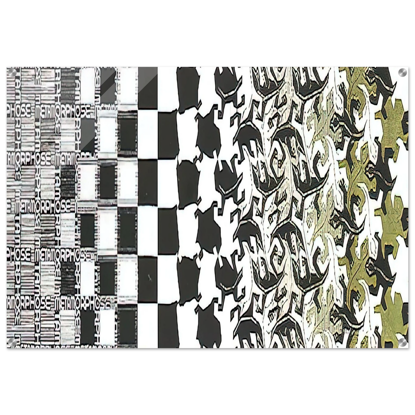 223398ba-5ad8-4314-a208-d08b97c06b39